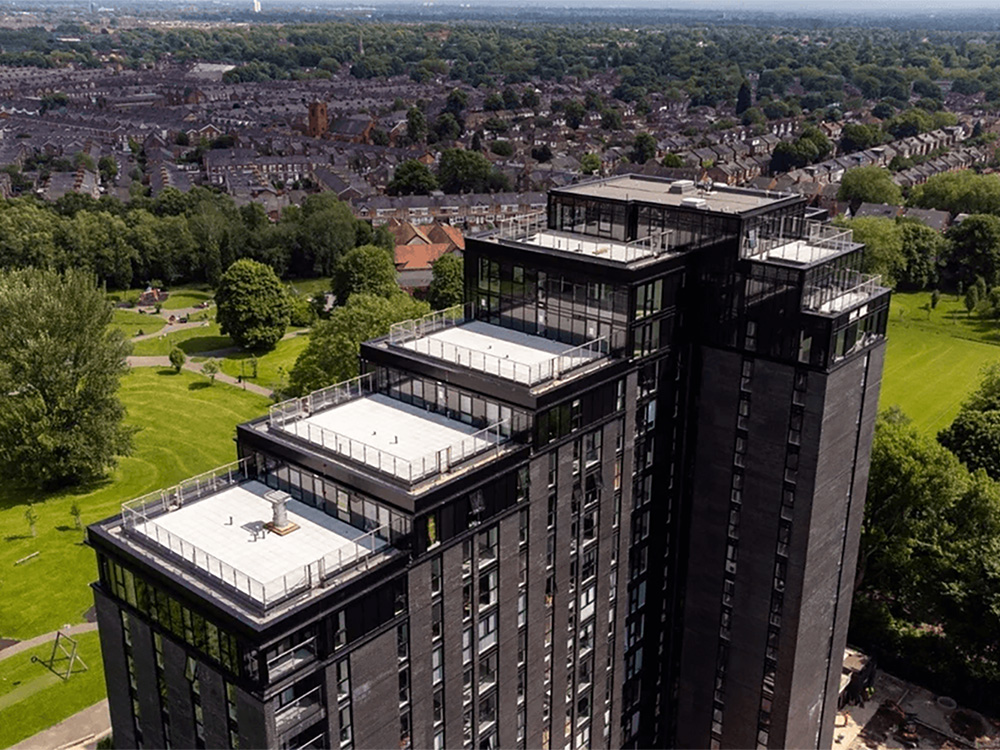 Case Studies | The Curley Group